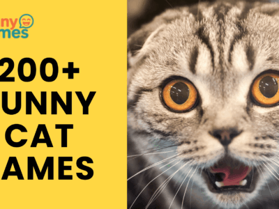 Funny Cat Names - That’ll Make You Purr With Laughter
